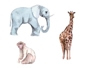 hand painted watercolor elephant, monkey and giraffe