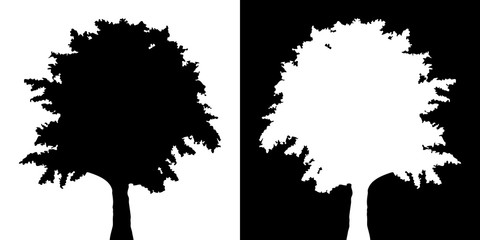 Tree vector silhouette