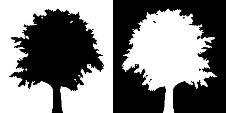 Tree vector silhouette