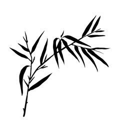 Bamboo leaf background. The top of the bamboo.