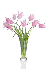 Fototapeta na wymiar Beautiful pink tulips isolated on white background