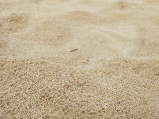 Fototapeta na wymiar Sand background. Closeup sand. Beach sand in the summer