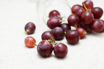 grapes and red wine