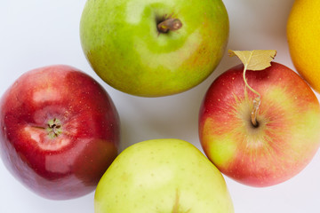 fruits isolated