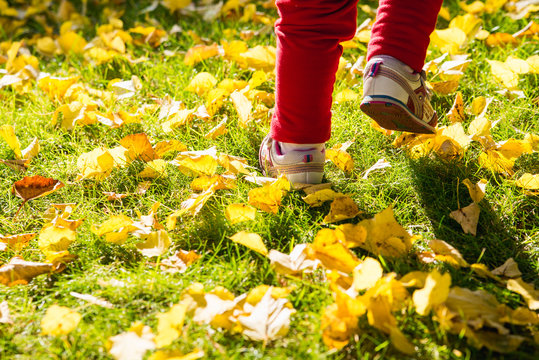Kid's feet running on the green grass with yellow autumn leaves outdoors in the sunny autumn day. 
