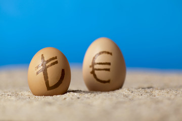 Universal money icon painted on eggs on the sand