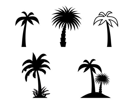 Silhouette of Palm Trees. Vector Illustration.