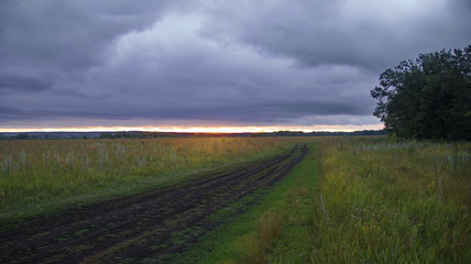 Fototapeta na wymiar country road in field. Picture of a country road on a cloudy day in the evening at sunset