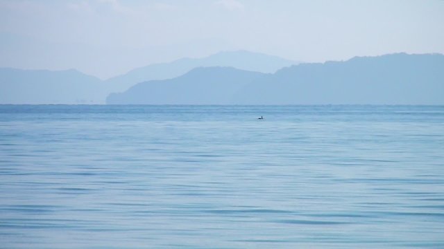 琵琶湖の水面、島々を望む