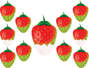 Delicious green strawberry in white chocolate. Vector