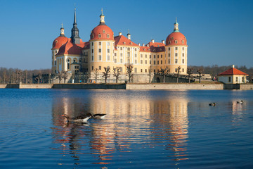Fototapeta na wymiar Schloss Moritzburg an einem klaren Wintertag