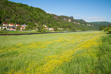 Obraz premium Sommer in der Sächsischen Schweiz