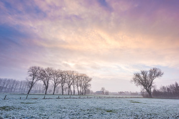 Winter landscape at sunrise