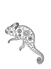 Zentangle stylized chameleon. 