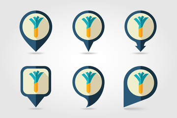 Leek mapping pins icons with long shadow