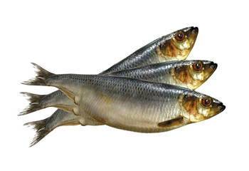 Smoked Mackarel isolated on white