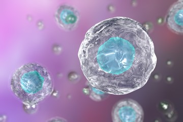 Background with cells. Human or animal cells on colorful background