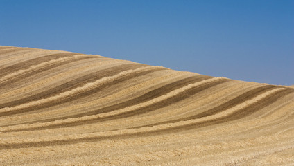 L&iacute;neas onduladas en campo cosechado contra cielo azul