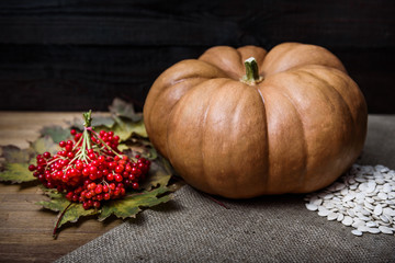 pumpkin lying on a wooden table