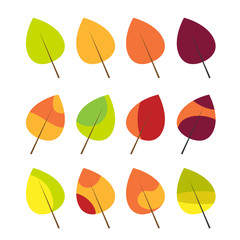 Obraz premium Colorful autumn leaves set isolated on white background 
