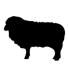 Vector black silhouette of the lamb isolated on white background

