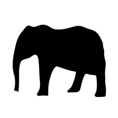 Vector silhouette of elephant
