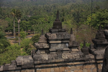 Borobudur dans la jungle