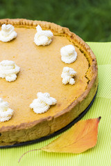 Obraz na płótnie Canvas Sweet pumpkin pie with cream close up