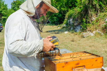 Beekeeper on apiary / Beekeeper pulling frame from the hive
