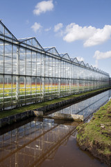 Greenhouse exterior