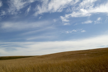 Obraz premium Prairie Landscape with Blue Sky