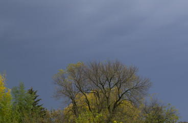 Obraz premium Stormy Autumn Sky