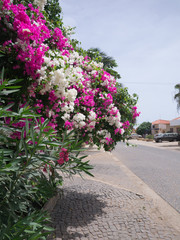 Santa Maria streets, Cabo Verde