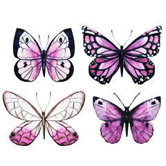 Fototapeta na wymiar Watercolor butterflies raster
