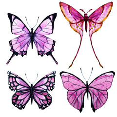 Watercolor butterflies raster