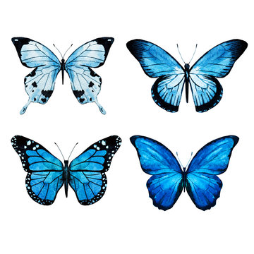 Watercolor butterflies raster