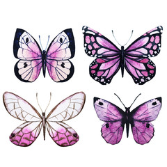 Obraz na płótnie Canvas Watercolor butterflies vector