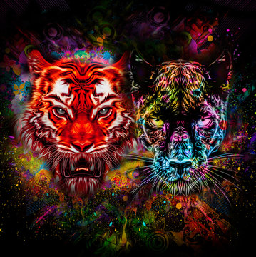 Красочный тигр и Пантера с краской плещется на черном фоне