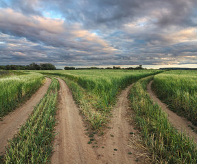 road fork