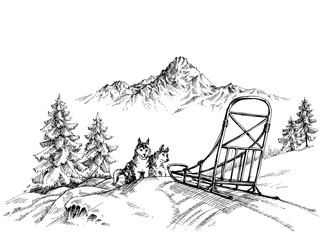 Winter mountain landscape, husky dogs sledding © Danussa