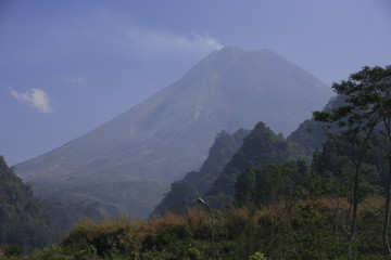 Fototapeta premium Merapi w centralnej Jawie