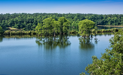 Piney Z Lake
