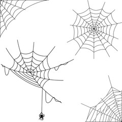 Cartoon spider web collection set