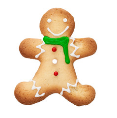 portrait of a cookie shaped snowman