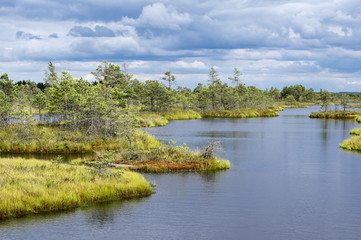 Fototapeta na wymiar Kemeri swamp in Latvia