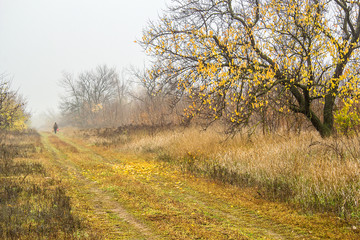 Naklejka premium Walk for mushrooms in the autumn forest