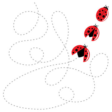 ladybird flat style. Vector illustration.