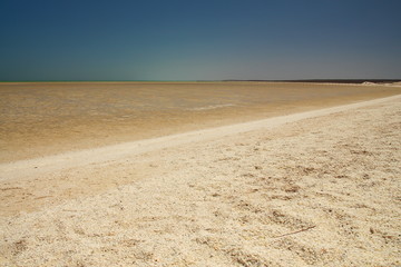 Shell Beach, Shark Bay, Australia