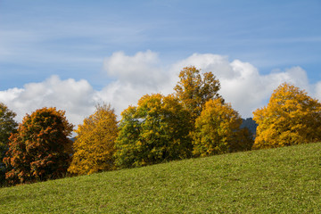 Bunte Bäume im Herbst