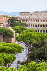 Fototapeta premium Exterior view of the Colosseum in Rome with green trees around.